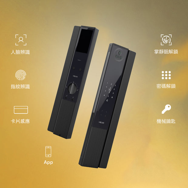 <h3><strong>多樣開鎖方式</strong></h3>